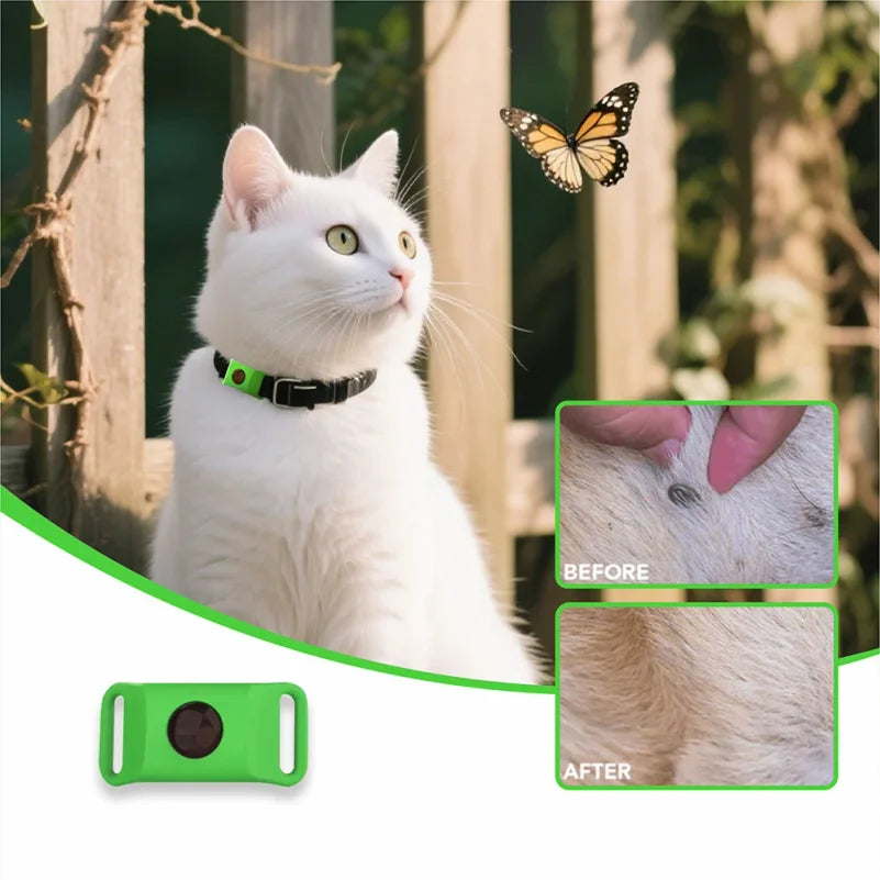 Cat wearing green flea and tick pendant