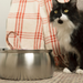 Stainless Steel Cat Water Fountain — Faucet Spout — product view 1